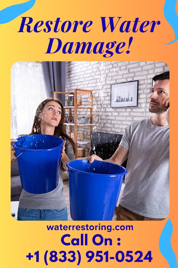 water restoration Galaxy Water Cleanup Network Bransford