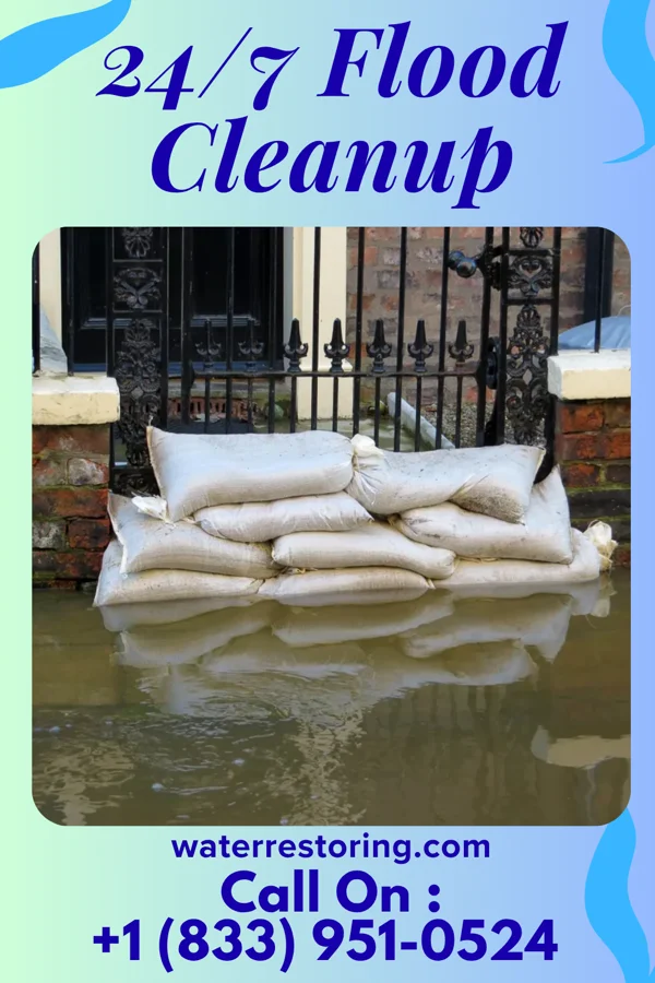 24/7 Flood Cleanup in Bransford, TN