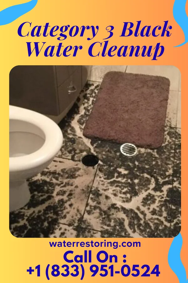 Category 3 Black Water Cleanup in Bransford, TN