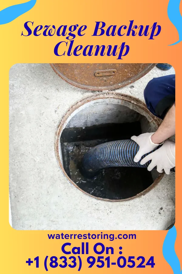 Sewage Backup Cleanup in Bransford, TN