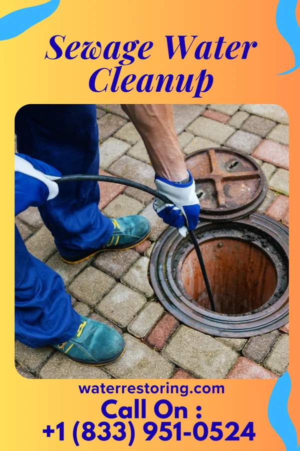 Sewage Water Cleanup in Bransford, TN
