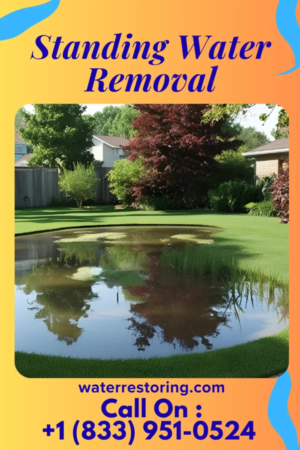 Standing Water Removal in Bransford, TN